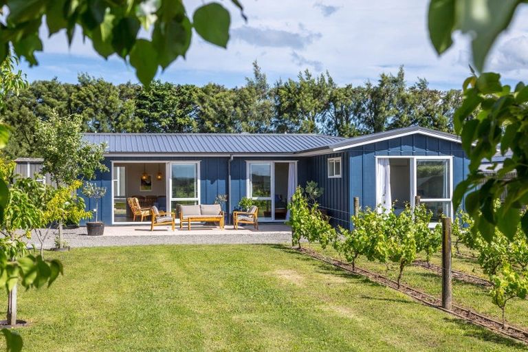 Photo of property in 56 Princess Street, Martinborough, 5711
