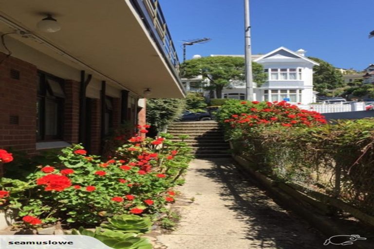 Photo of property in 1/5 Pitt Street, North Dunedin, Dunedin, 9016