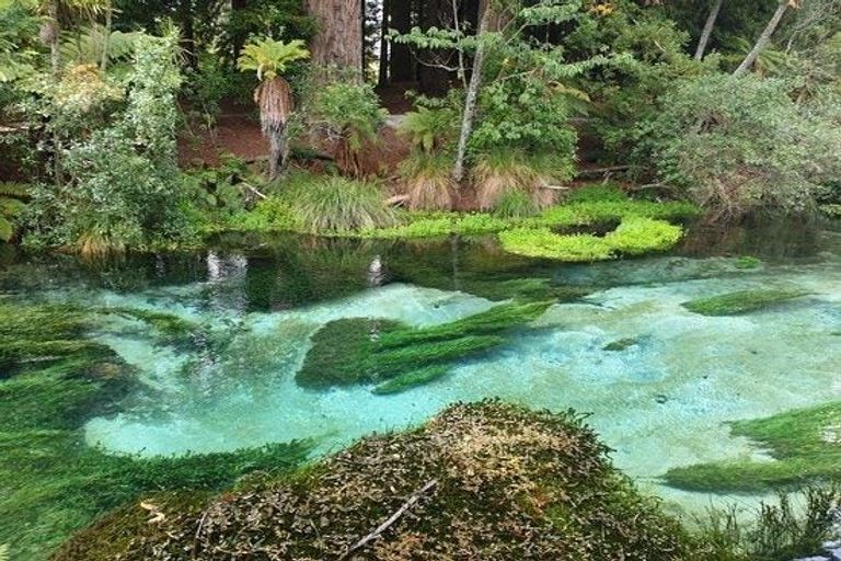 Photo of property in 10 Kohekohe Drive, Owhata, Rotorua, 3010