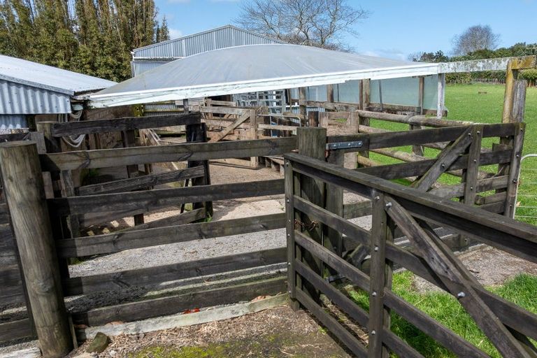 Photo of property in 467 Bald Hill Road, Waiuku, 2681