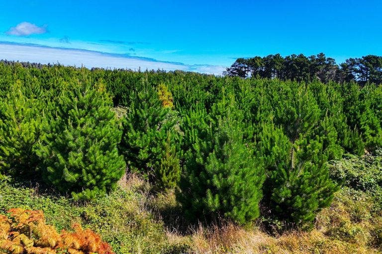 Photo of property in 80 Bay View Road, Woodend, Invercargill, 9877