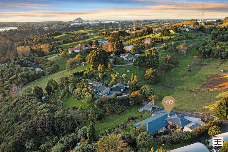 Photo of property in 107 Panorama Drive, Welcome Bay, Tauranga, 3175
