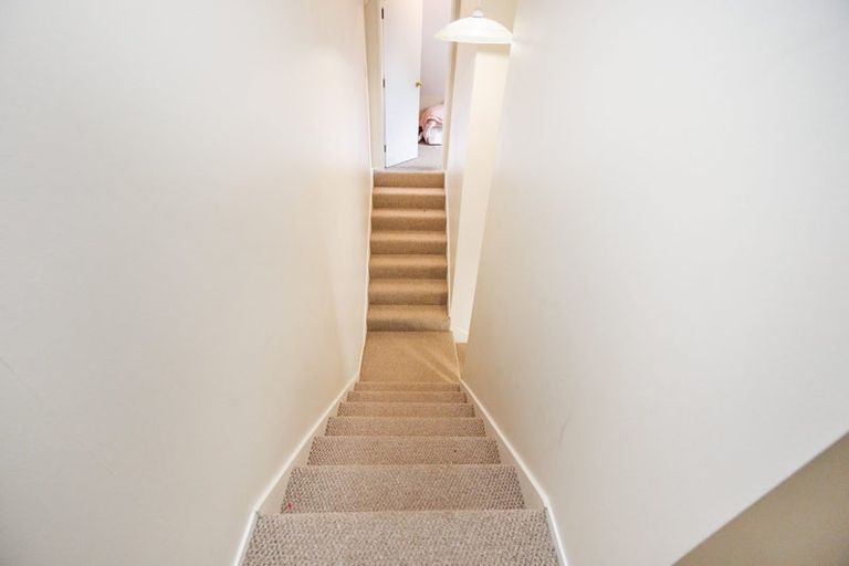 Photo of property in 502 College Street, Hokowhitu, Palmerston North, 4410