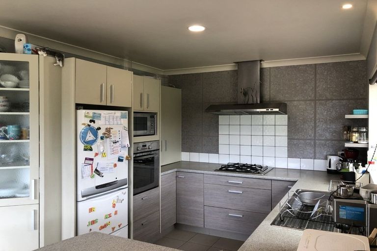 Photo of property in 135 Leyland Road, Whakamarama, Tauranga, 3179