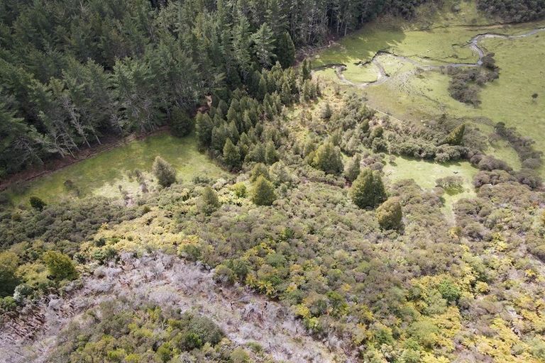 Photo of property in 1677 Takaputahi Road, Toatoa, Opotiki, 3197