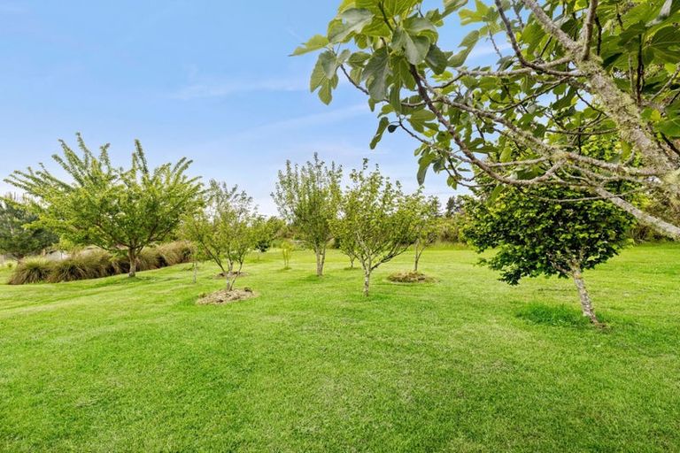 Photo of property in 24 Onekaka Iron Works Road, Onekaka, Takaka, 7182