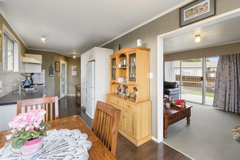 Photo of property in 17 Strathmore Avenue, Levin, 5510