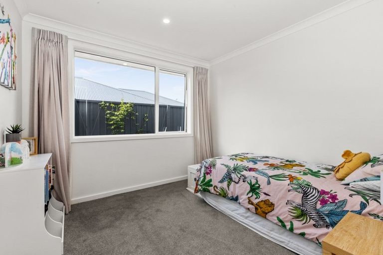 Photo of property in 62 Lochhead Street, Mahora, Hastings, 4120