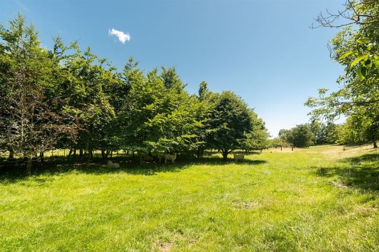 Photo of property in 239 Bartlett Road, Hope, Richmond, 7081