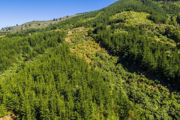 Photo of property in 4954 Kenepuru Road, Ohauparuparu Bay, Picton, 7282