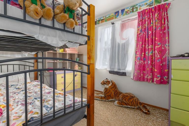 Photo of property in 43 Tiro Tiro Road, Levin, 5510