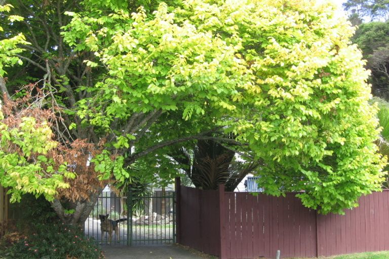 Photo of property in 62 Melba Street, Beach Haven, Auckland, 0626