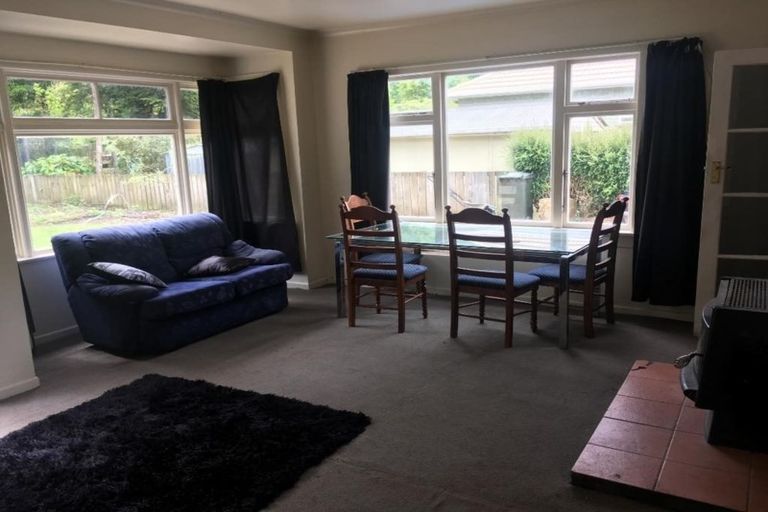 Photo of property in 179 Norwood Street, Normanby, Dunedin, 9010