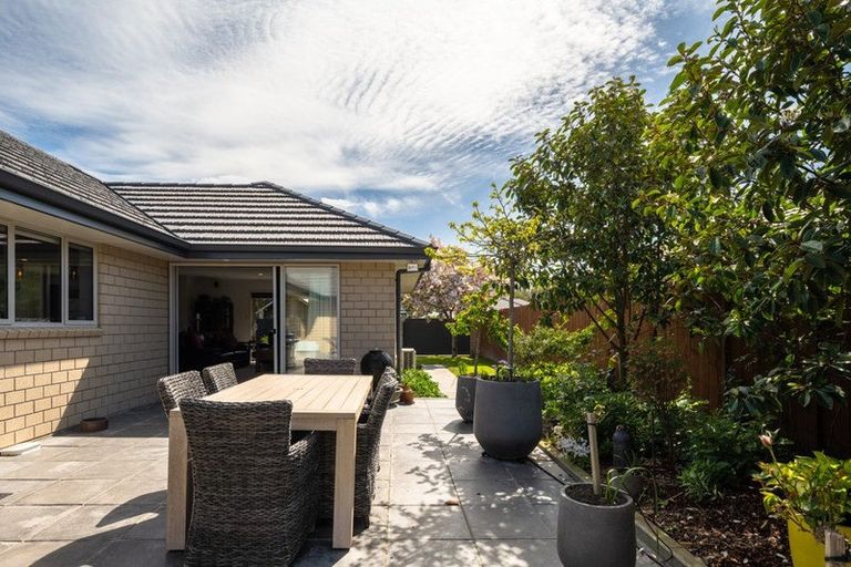 Photo of property in 37 Maeburn Street, Witherlea, Blenheim, 7201