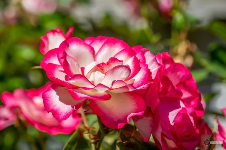 Photo of property in 2/2 Haig Street, Waterloo, Lower Hutt, 5011