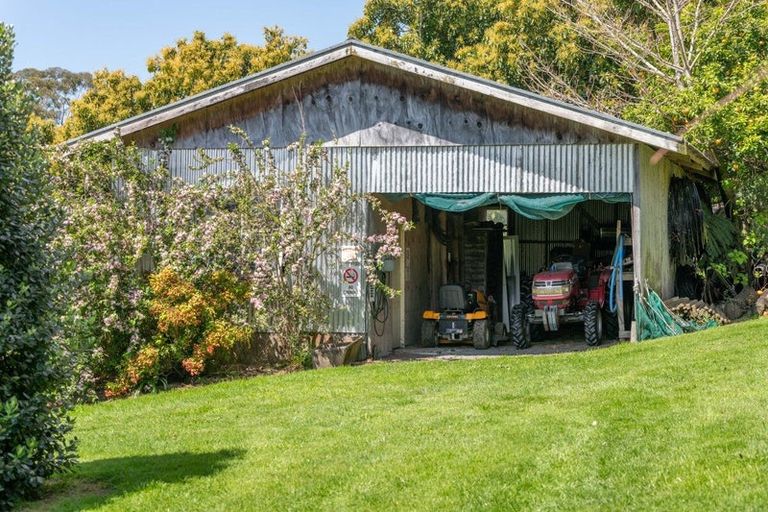 Photo of property in 313 Youngson Road, Whakamarama, Tauranga, 3179