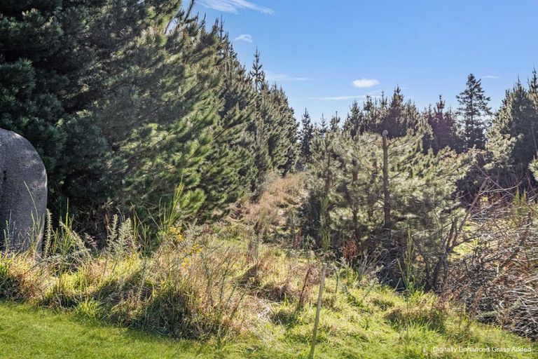 Photo of property in 87 Sladdens Bush Road, Coopers Creek, Oxford, 7495