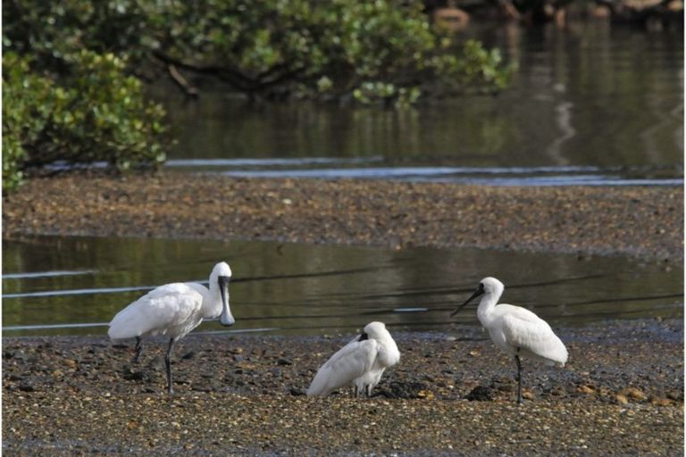 Photo of property in 12 May Grove Lane, Tamaterau, Whangarei, 0174