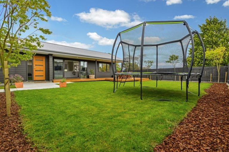 Photo of property in 11 Wescombe Grove, Feilding, 4702