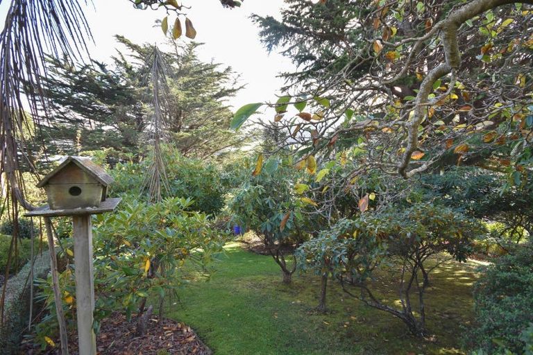 Photo of property in 2 Trafalgar Street, Normanby, Dunedin, 9010