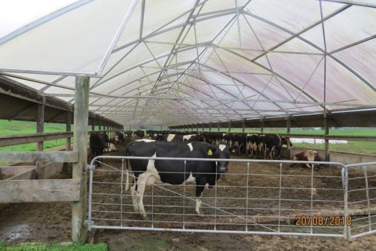 Photo of property in 23 Hinewai Road, Te Kawa, Te Awamutu, 3873