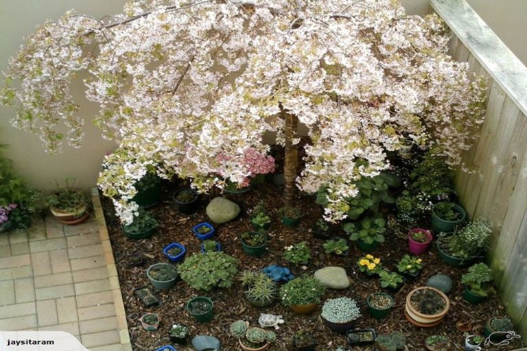 Photo of property in 29d Claudelands Road, Hamilton East, Hamilton, 3216