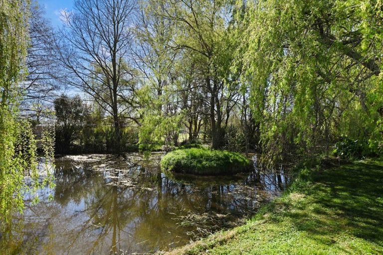 Photo of property in 399 Rotokauri Road, Rotokauri, Hamilton, 3289