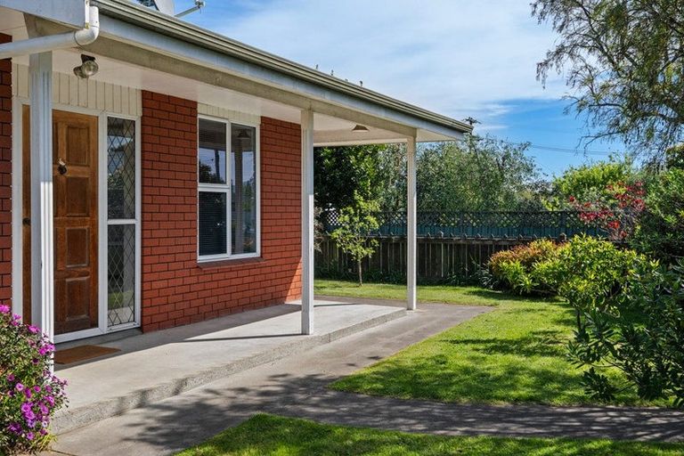 Photo of property in 62 Litchfield Street, Redwoodtown, Blenheim, 7201