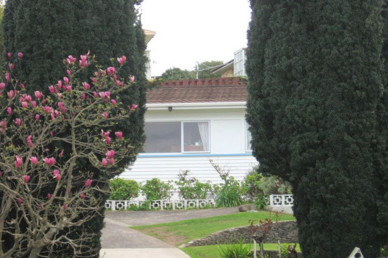 Photo of property in 29 Lynwood Place, Brookfield, Tauranga, 3110