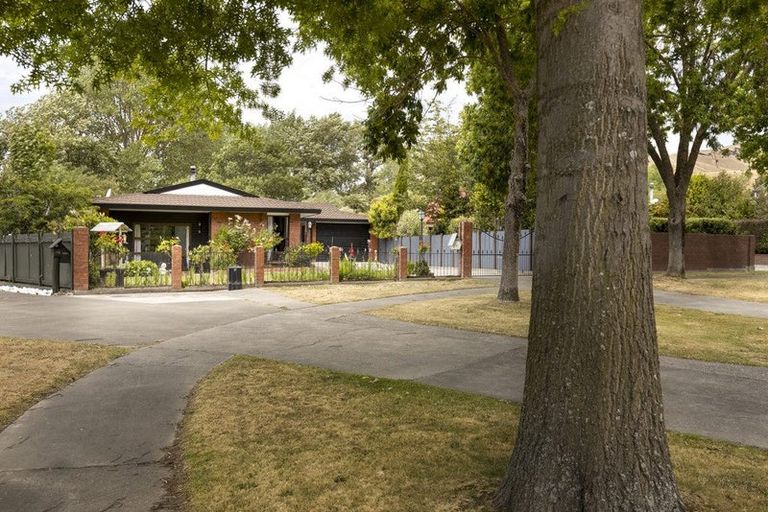 Photo of property in 17 Morrington Terrace, Witherlea, Blenheim, 7201