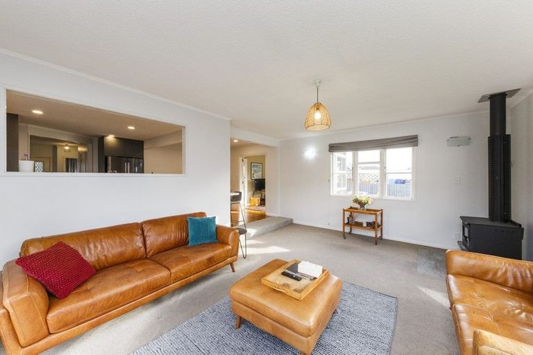 Photo of property in 481 Ruahine Street, Terrace End, Palmerston North, 4410