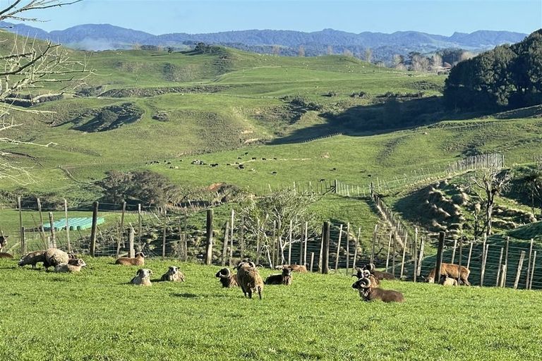 Photo of property in 80a Mangaotaki Road, Piopio, 3971