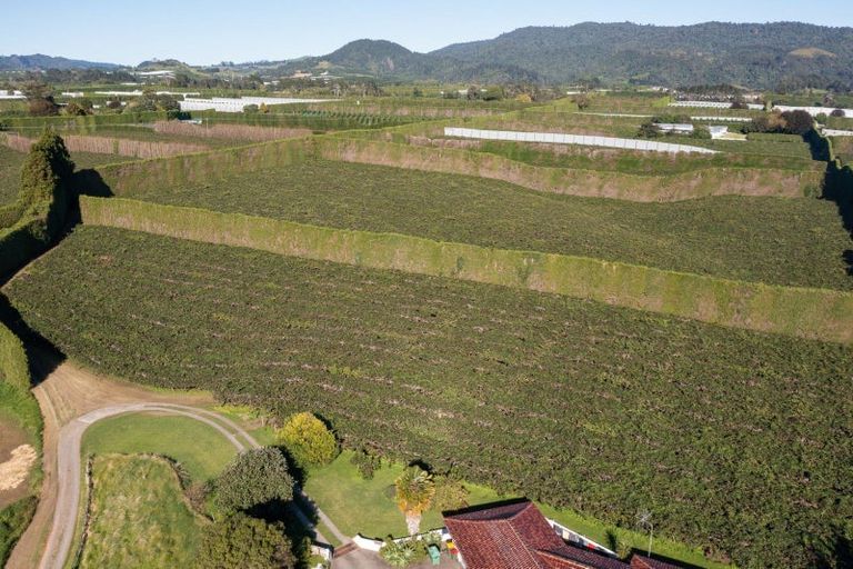 Photo of property in 81 Dunlop Road, Te Puke, 3119