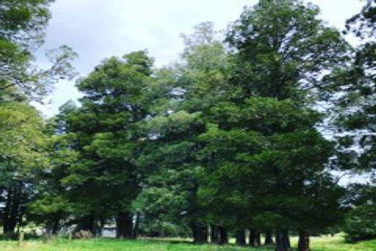 Photo of property in 150 Dimmock Road, Waitakaruru, Ngatea, 2471