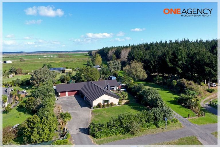 Photo of property in 39 Palmer Road, Foxton Beach, Foxton, 4891