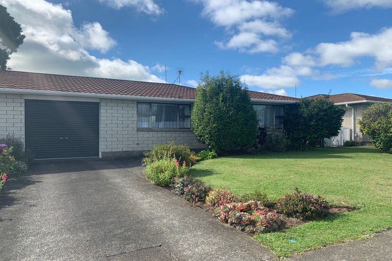 Photo of property in 43 Skerman Street, Marton, 4710