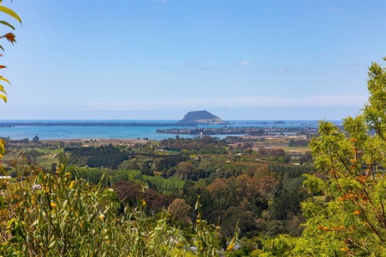 Photo of property in 17 Dawn View Place, Minden, Tauranga, 3176