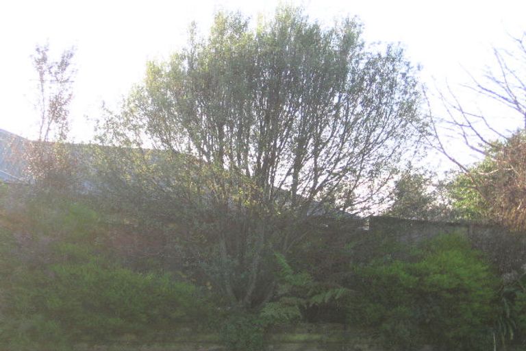 Photo of property in 52 Western Heights Drive, Western Heights, Hamilton, 3200