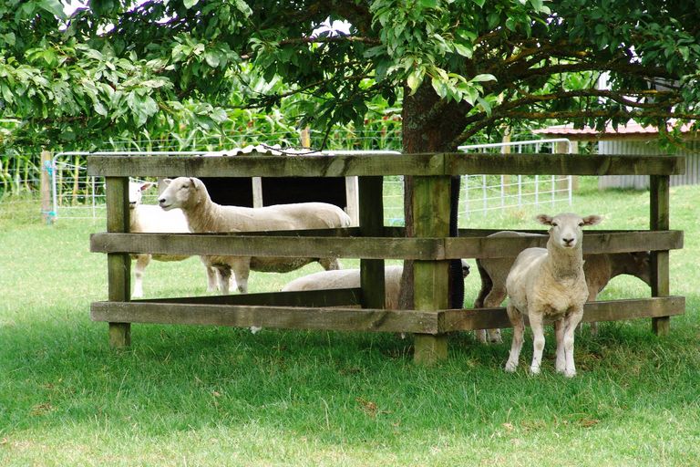 Photo of property in 351 Frontier Road, Te Awamutu, 3876