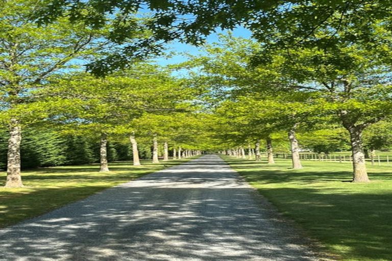 Photo of property in 198 Whites Road, Ohoka, Kaiapoi, 7692