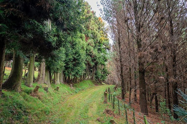 Photo of property in 87 Pukekauri Road, Waikino, Waihi, 3682