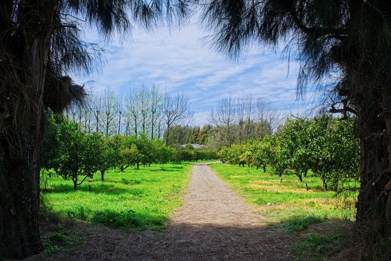 Photo of property in 19 Pilmer Road, Makauri, Gisborne, 4071