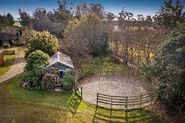 Photo of property in 321 Southbridge Leeston Road, Leeston, 7683