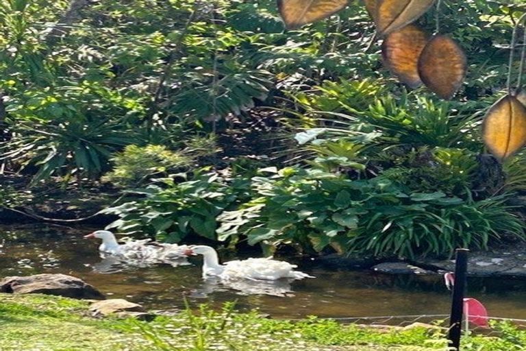 Photo of property in 105 Kapiro Road, Kerikeri, 0294