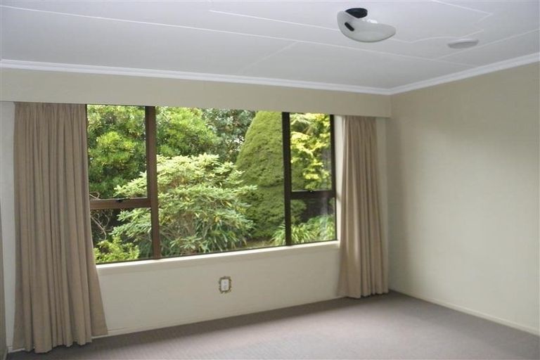 Photo of property in 6 Raymond Street, Bluff, 9814