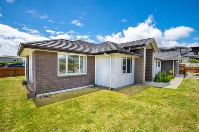 Photo of property in 81 John Burke Drive, Aotea, Porirua, 5024
