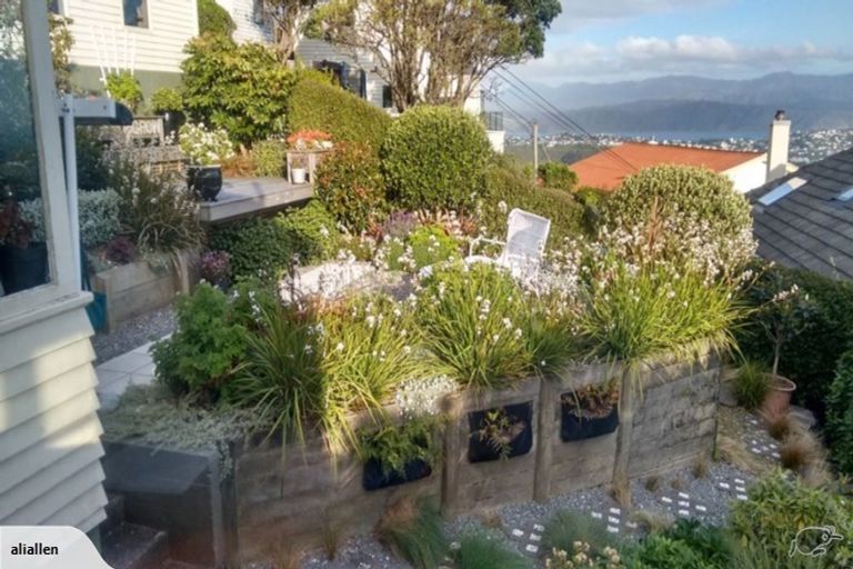 Photo of property in 53 Alexandra Road, Hataitai, Wellington, 6021