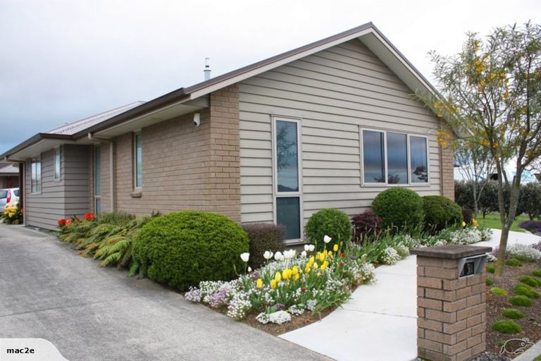 Photo of property in 31 Mortlake Heights, Pyes Pa, Tauranga, 3112