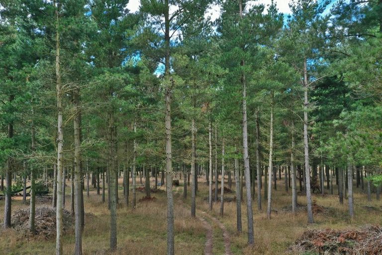 Photo of property in 2/374 Karanga Road, Dunsandel, Leeston, 7682