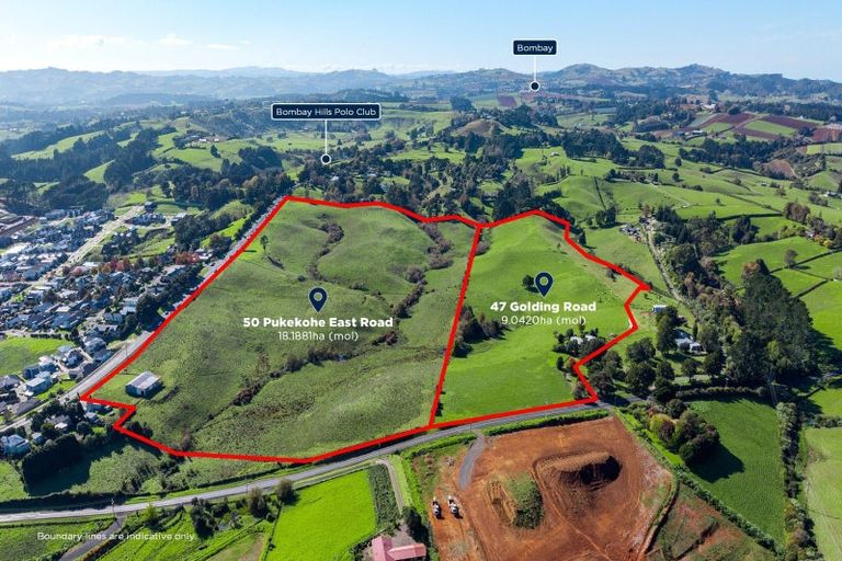 Photo of property in 50 Pukekohe East Road, Pukekohe, 2677